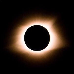 Meet your Posher, Steve